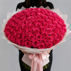101 малиновая роза
